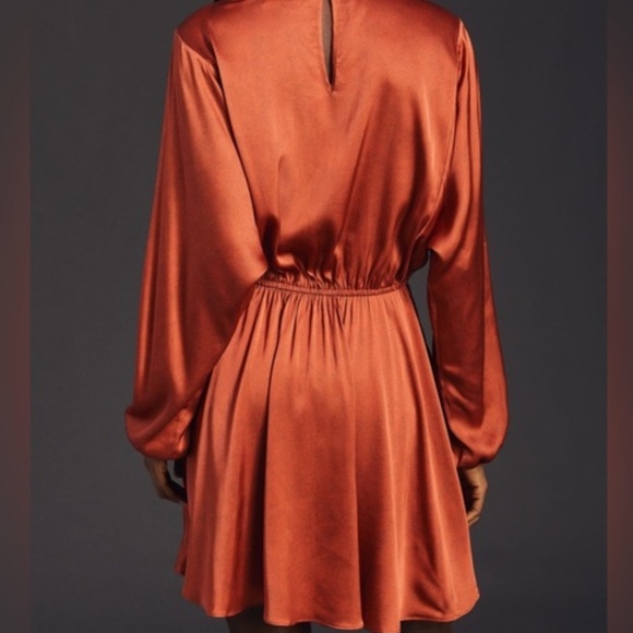 New With Tags Anthropologie Caballero Long-Sleeve Satin Animal Print Mini Dress - Picture 3 of 8